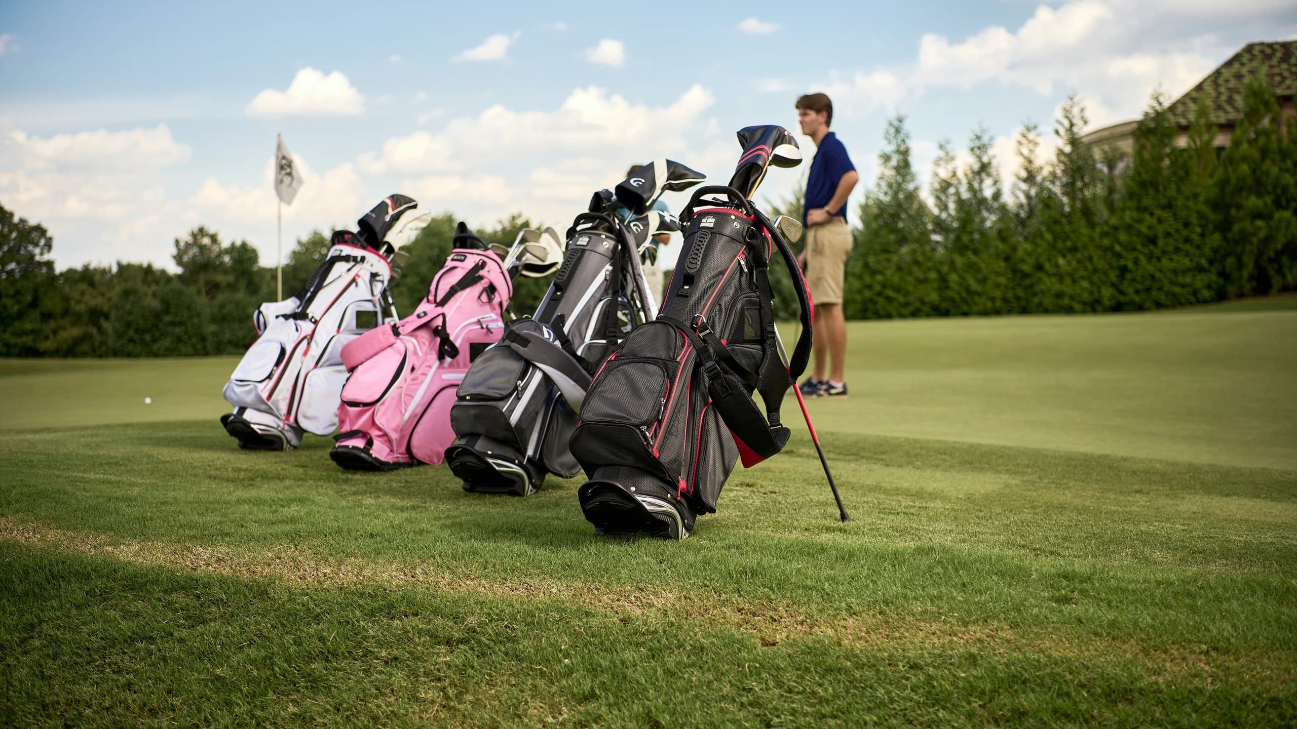 Cart vs. Stand vs. Tour Bags