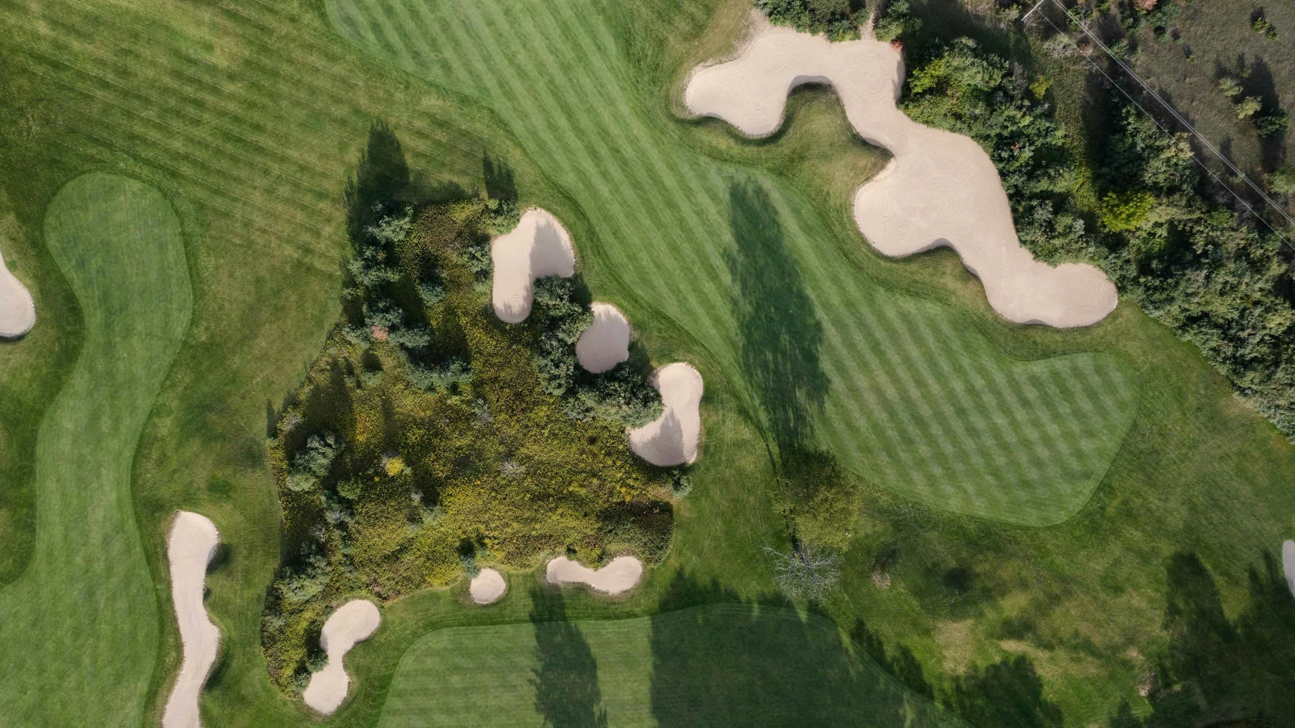 Setting Golf Goals for the New Year